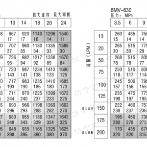 BMV無(wú)軸承系列馬達