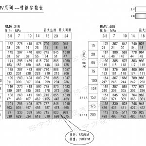 BMV無(wú)軸承系列馬達