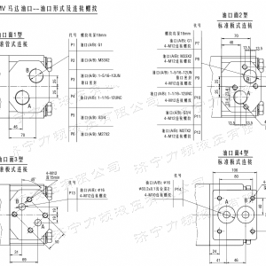 BMV無(wú)軸承系列馬達