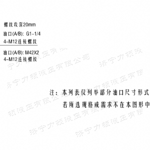 BMV無(wú)軸承系列馬達